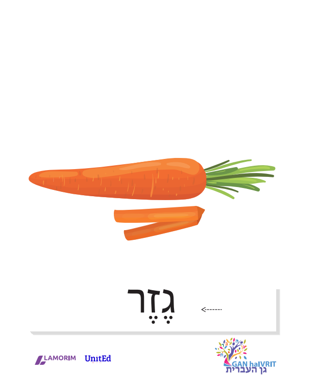 Flashcards/גן העברית/ירקות
