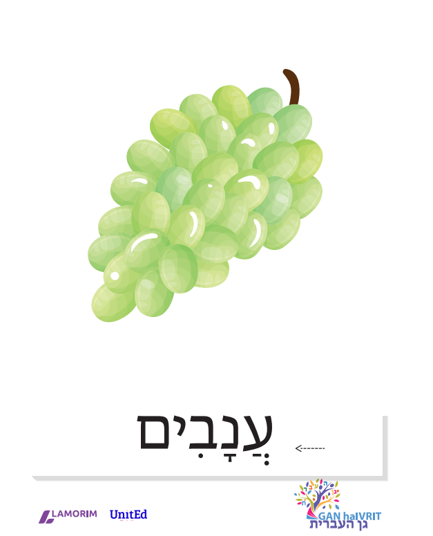 Flashcards/גן העברית/פירות