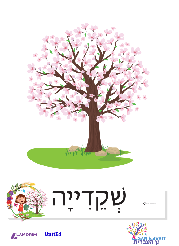 Flash cartes/גן העברית/טו בשבט