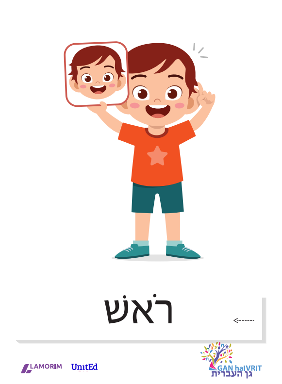 Flash cartes/גן העברית/חלקי הגוף