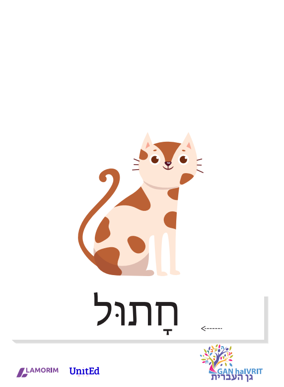 Flash cartes/גן העברית/חיות
