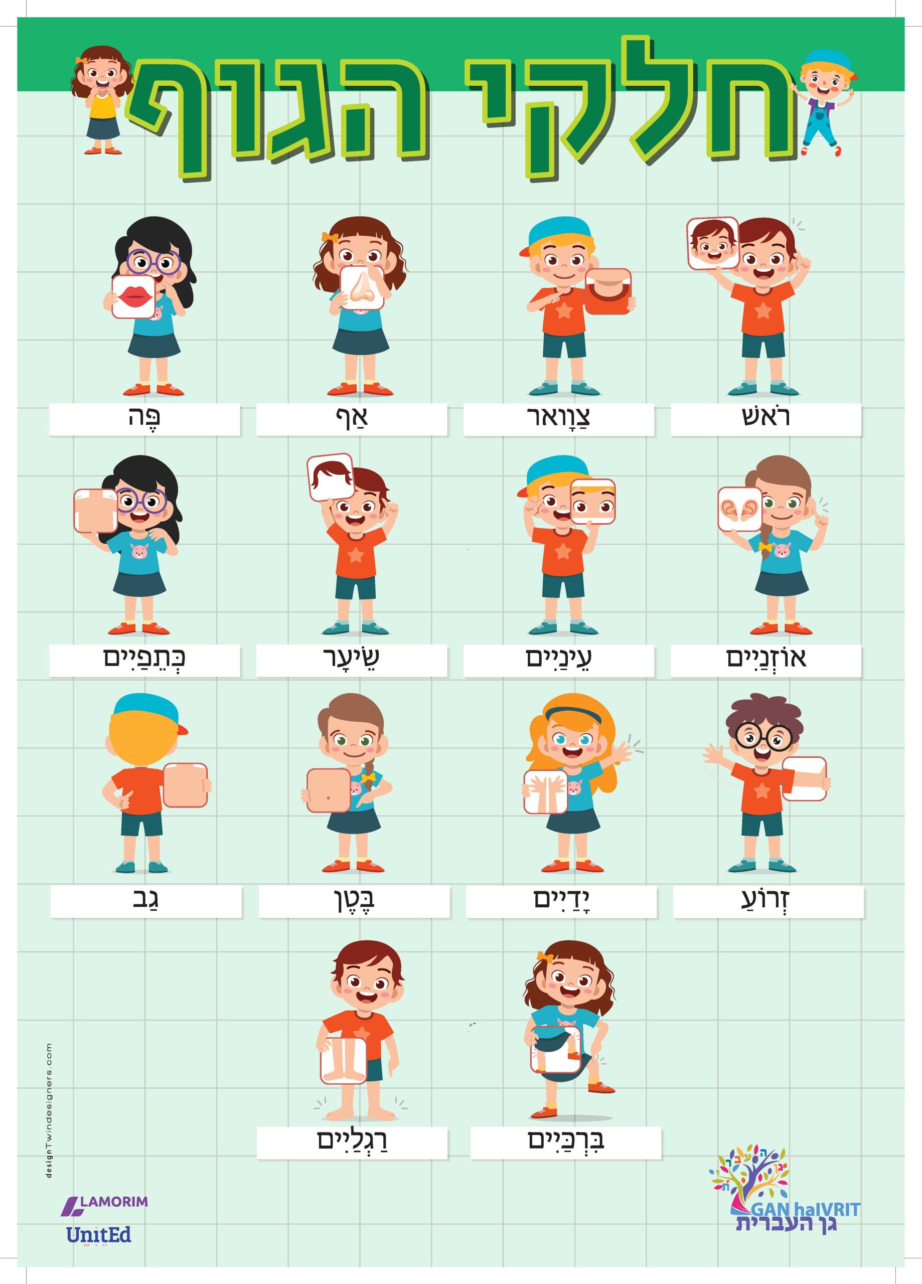 Póster/גן העברית/חלקי הגוף