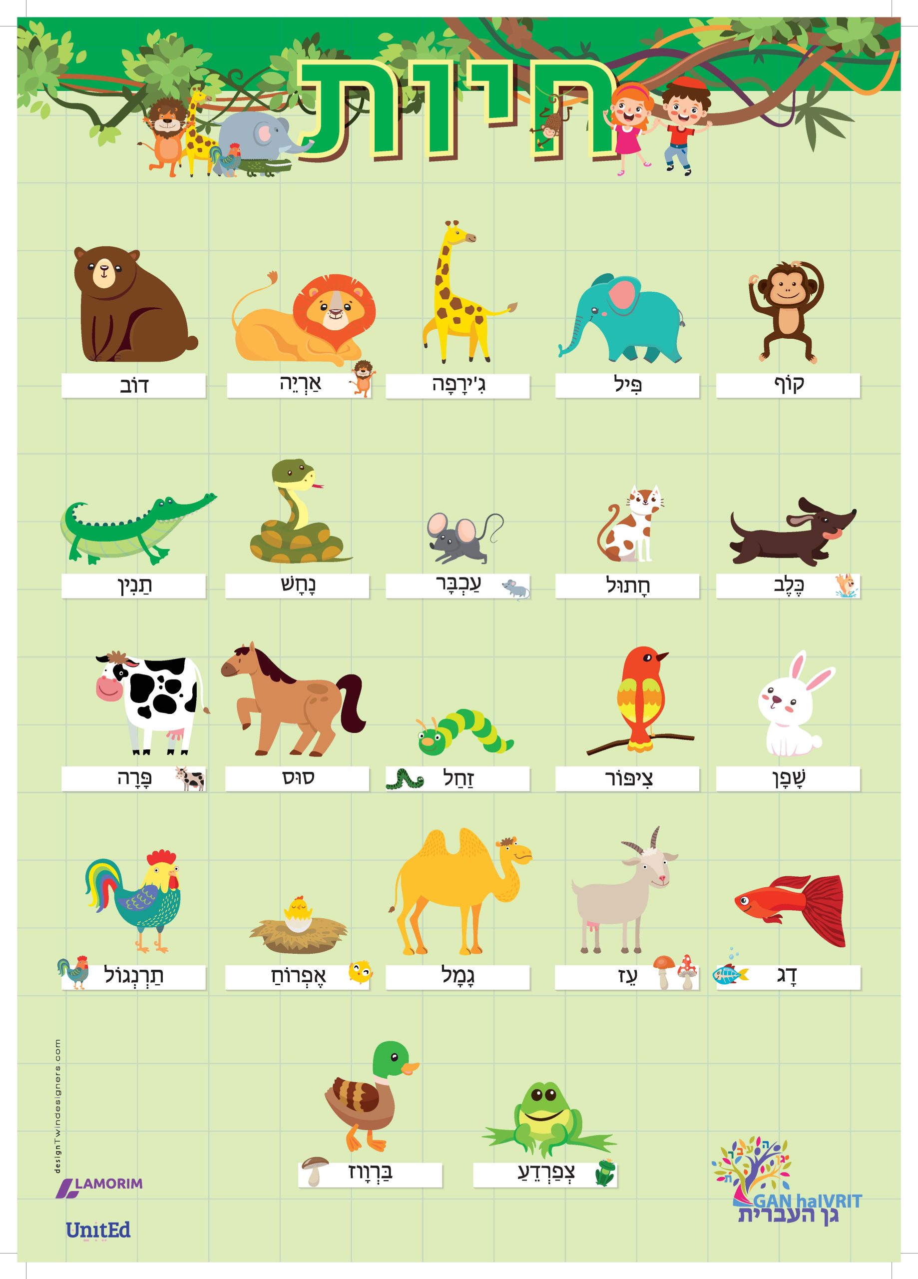 Póster/גן העברית/חיות